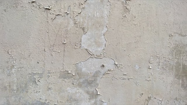 Damp check — kitchen wall